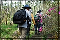 2011-12-18 11-04-00往大籠頂途中.JPG